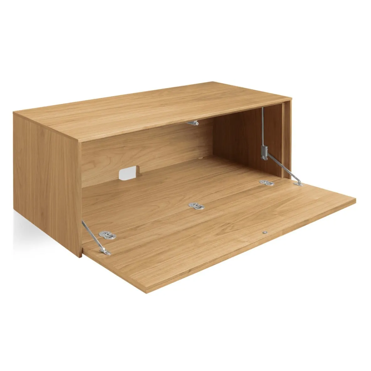Blu Dot Wonder Wall 2.0 1 Door Cabinet
