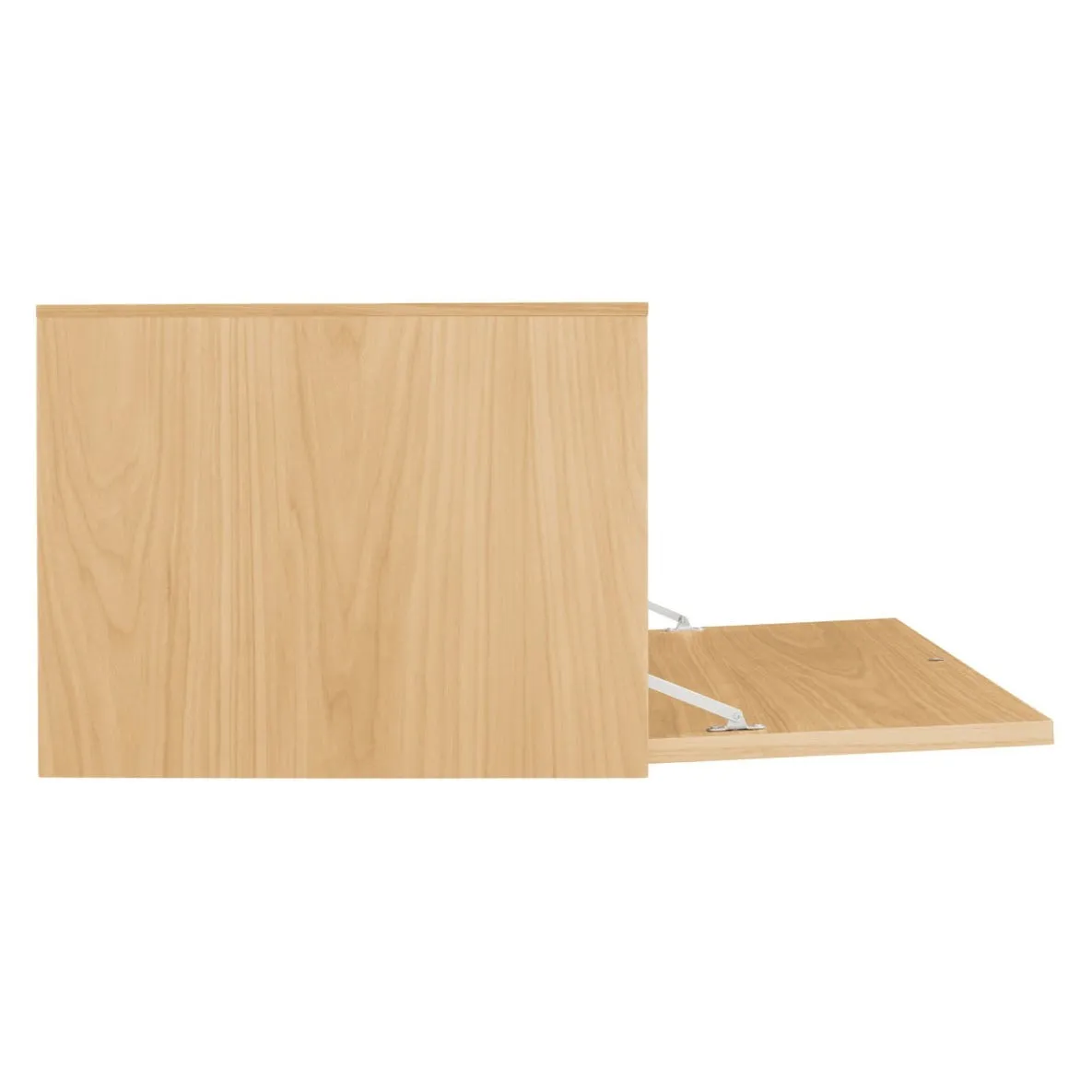 Blu Dot Wonder Wall 2.0 1 Door Cabinet