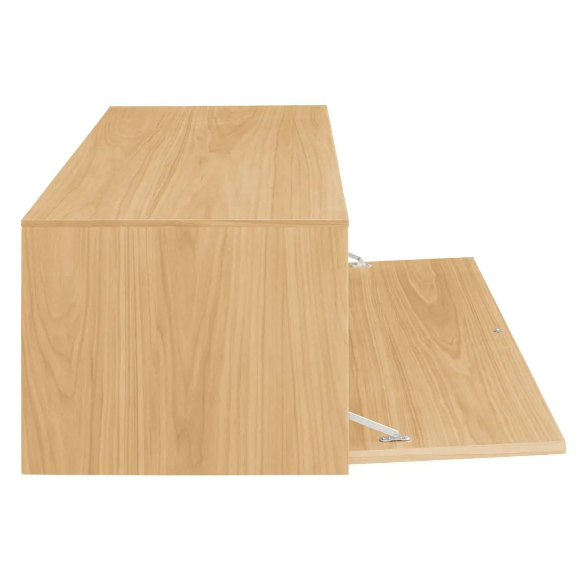 Blu Dot Wonder Wall 2.0 1 Door Cabinet