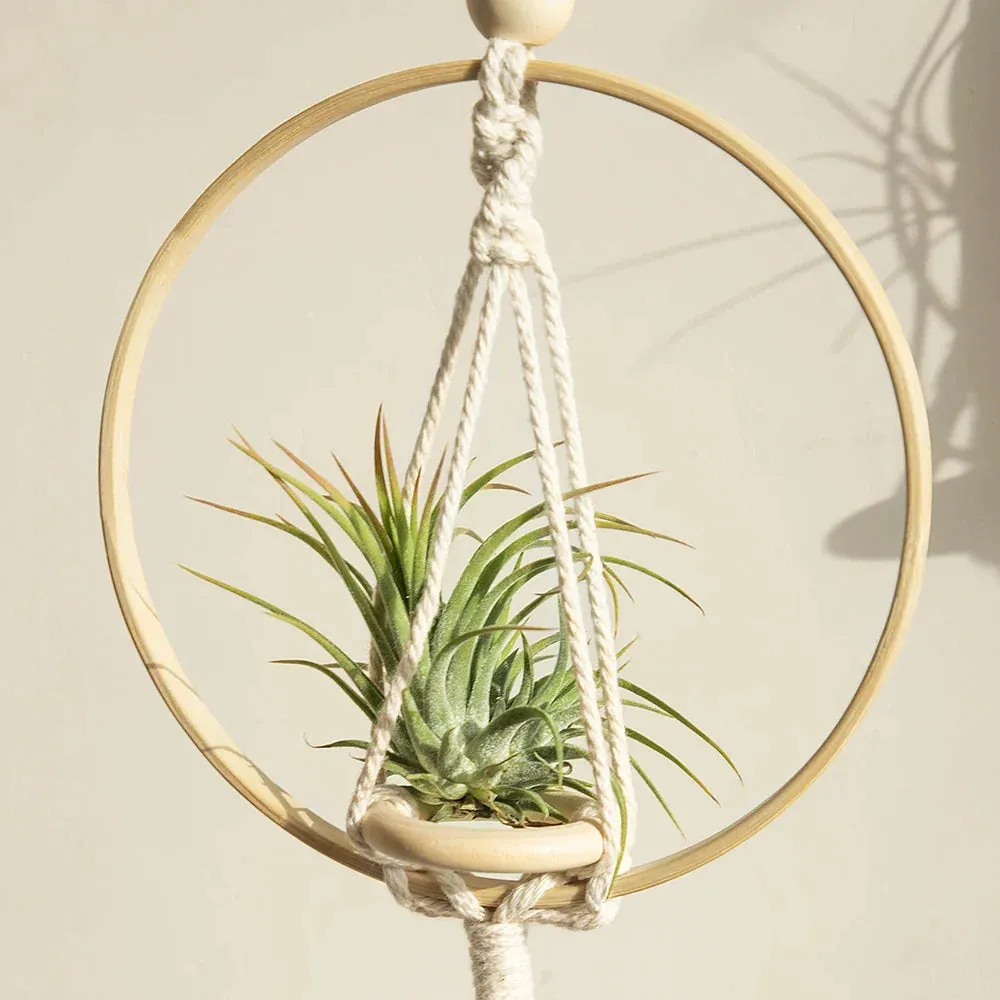 Boho Macrame Hanging Planter for Home Decor