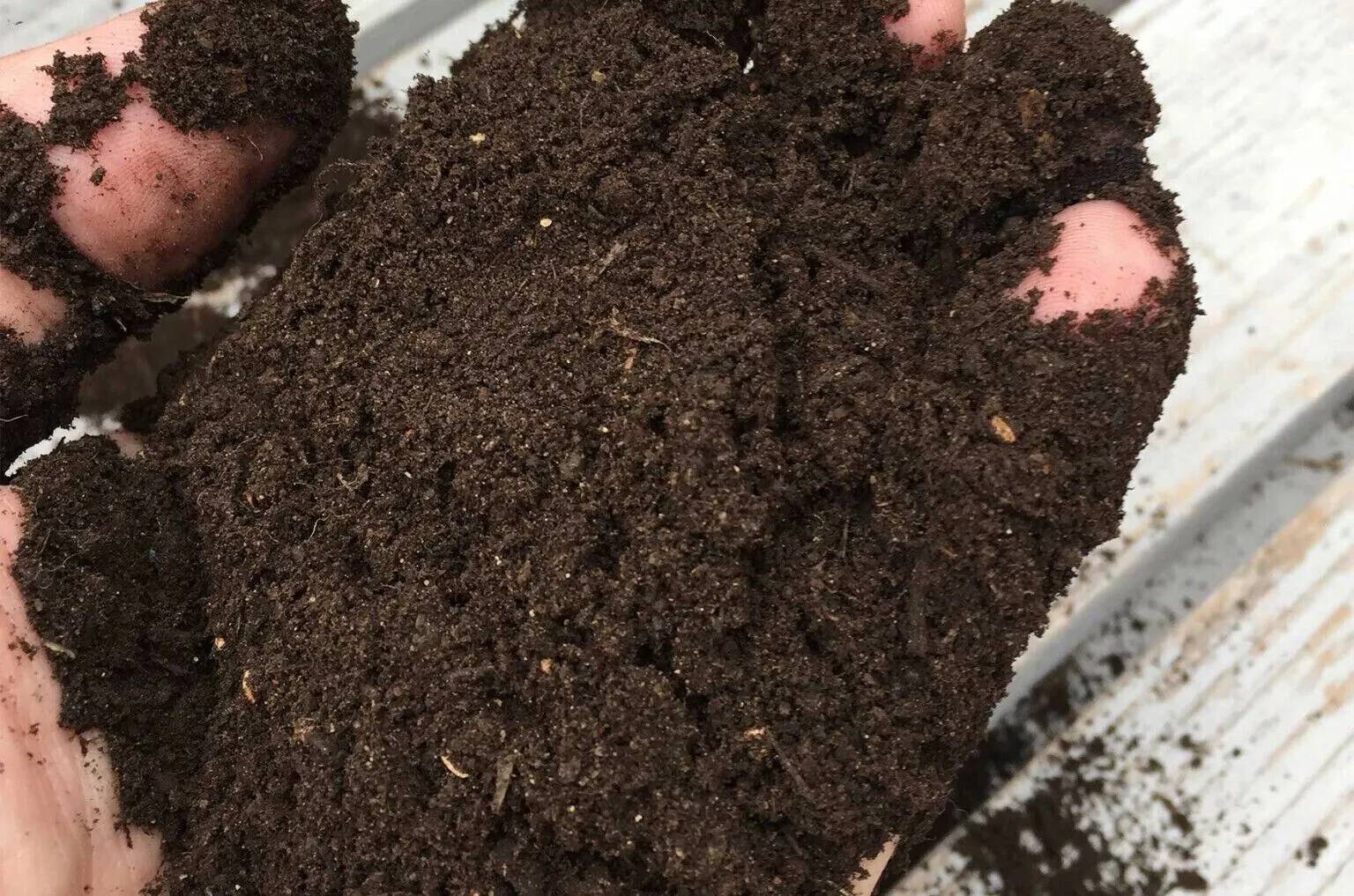 Wormganix 20 Litre Bag Premium Worm Castings Vermicompost Organic Moist Fresh
